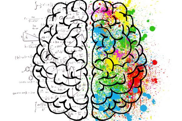 brain-2062057_960_720 brain-2062057_960_720